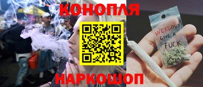 гидропоника Можга