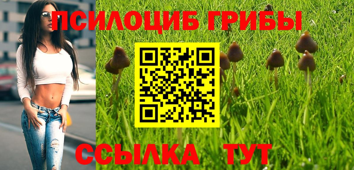 Псилоцибиновые грибы прущие грибы  Вход с VPN  Добрянка 